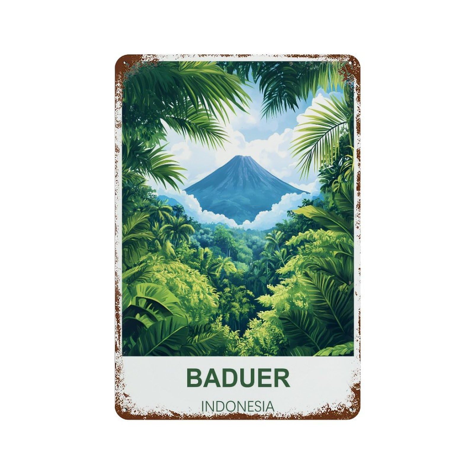 Baduer Indonesia Retro Design Tin Paintings Vintage Tin Sign 08x12inch(20x30cm) Wall Art for Home Office Bedroom Living Room Cafes Wall Decor