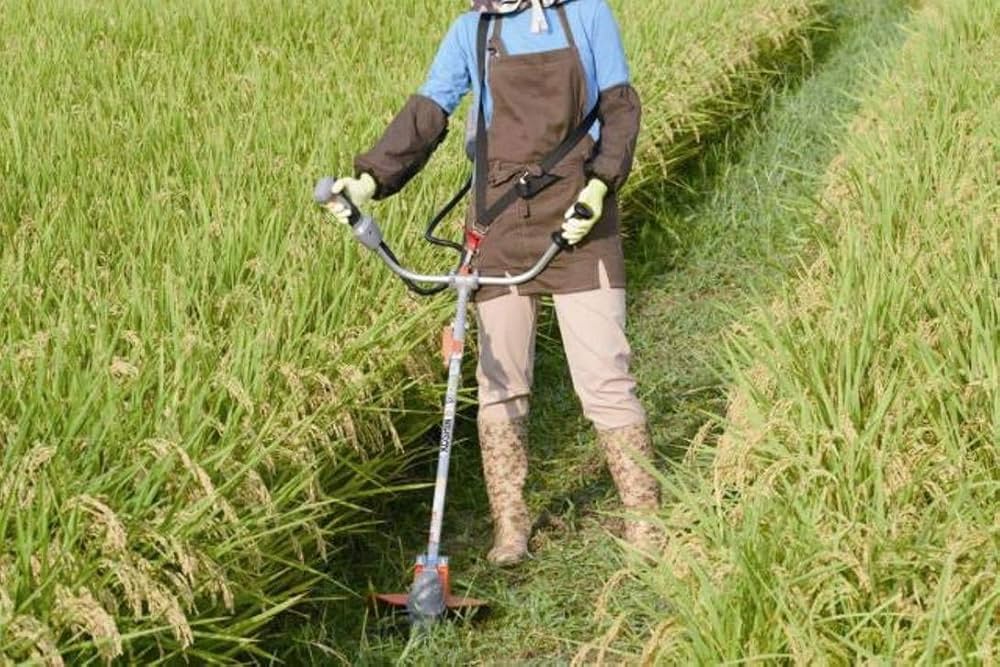 Amazon | 【セット品】工進(KOSHIN) 18V 2.5Ah 充電式 草刈機 U字