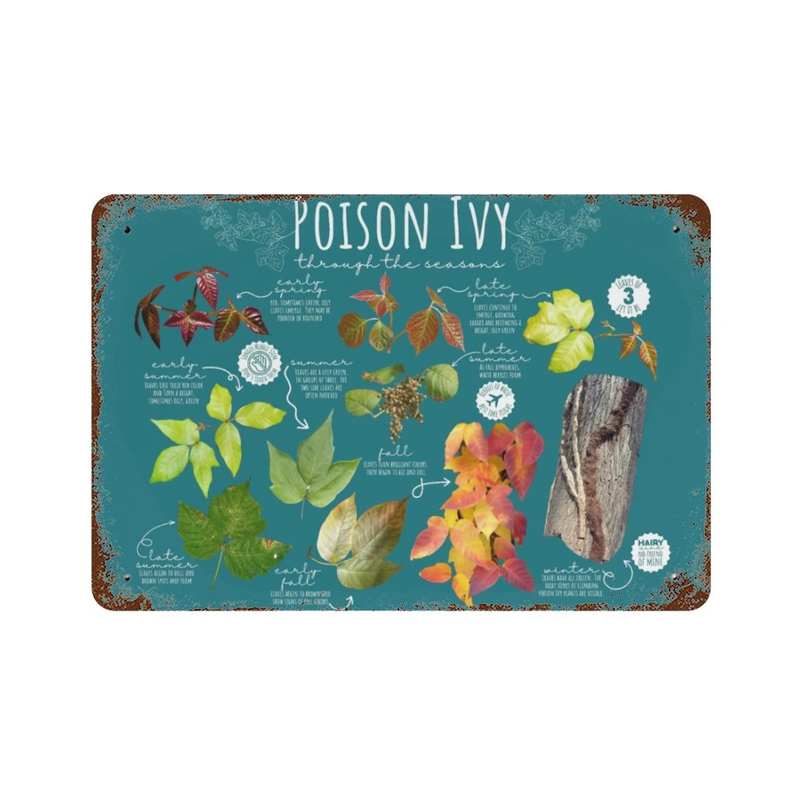 Pibonto Women's Wall Art Poison Ivy Spring Metal Tin Sign Retro Poster Decor Coffee Wall Decor Metal Plate For Bathroom Coffee Shop Decor Bar Man Cave Garage Home Decor Plaque Tin Sign 8X5.5 Inch
