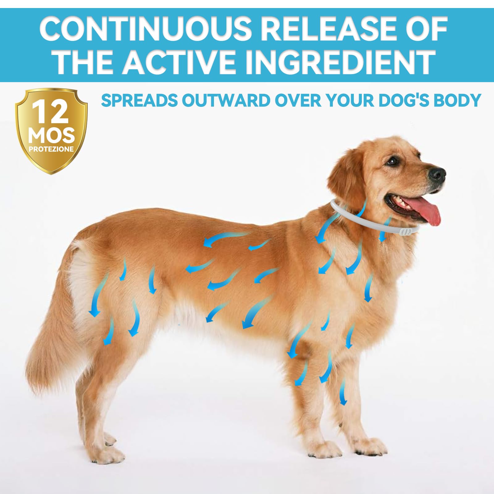 Collare Antipulci Cane, Naturali Collare Antipulci e Zecche per Cani, 12 Mesi di Protezione Impermeabile Collare Cane Antiparassitario, 63.5cm Regolabile Collare Antipulci (1pack)