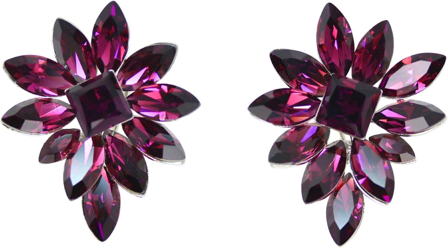 Faship Gorgeous Big Crystal Floral Cluster Pierced Clip Earrings