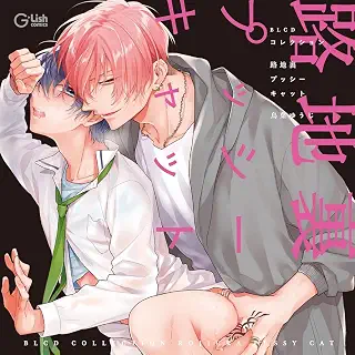 BLCDコレクション「路地裏プッシーキャット」