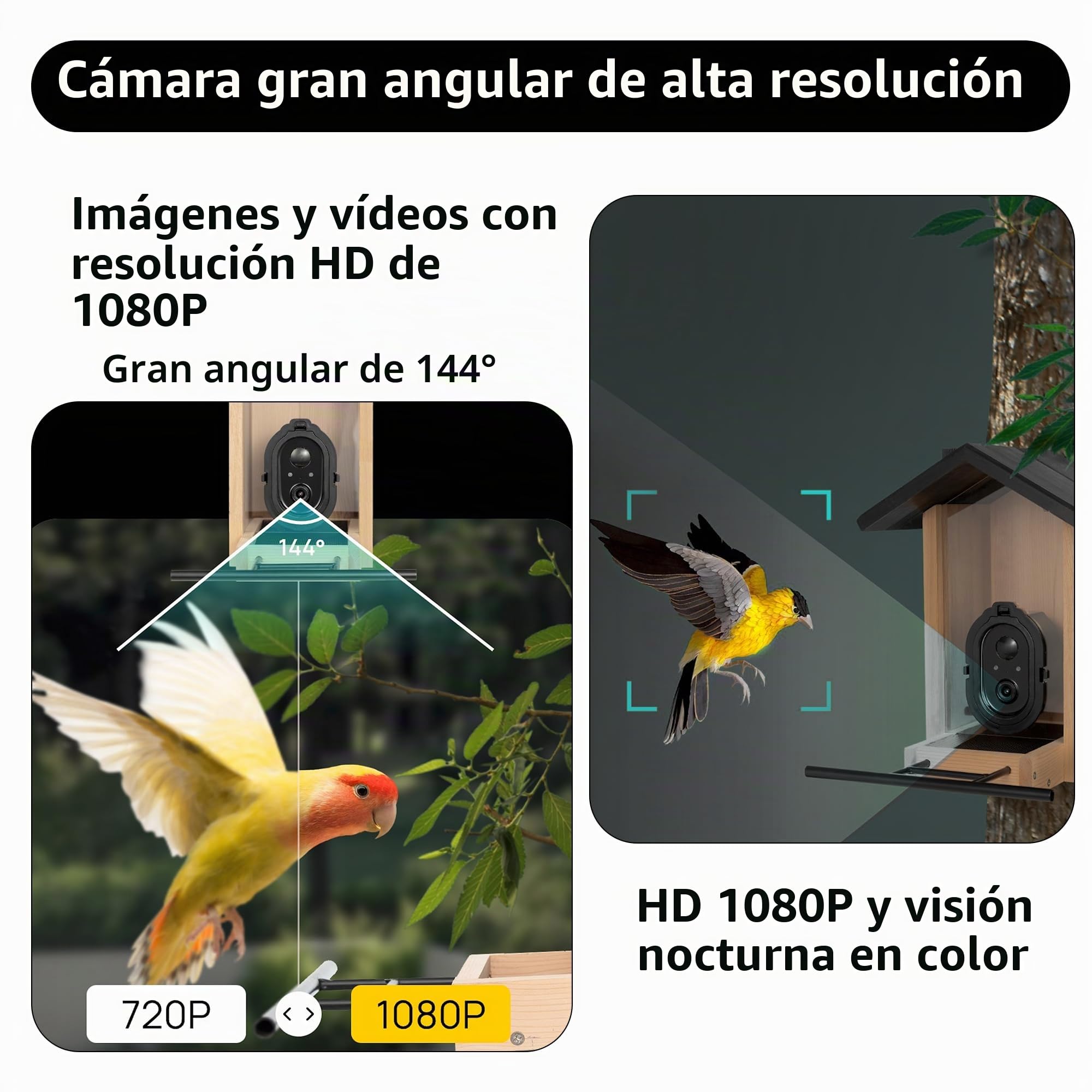 Origem Comedero para Pájaros Smart 3L con Cámara y Detección de Pájaros AI GratuitaAlimentador para Pájaros con Visión Nocturna, 30 Días de Retención de Mensajes de Vídeo