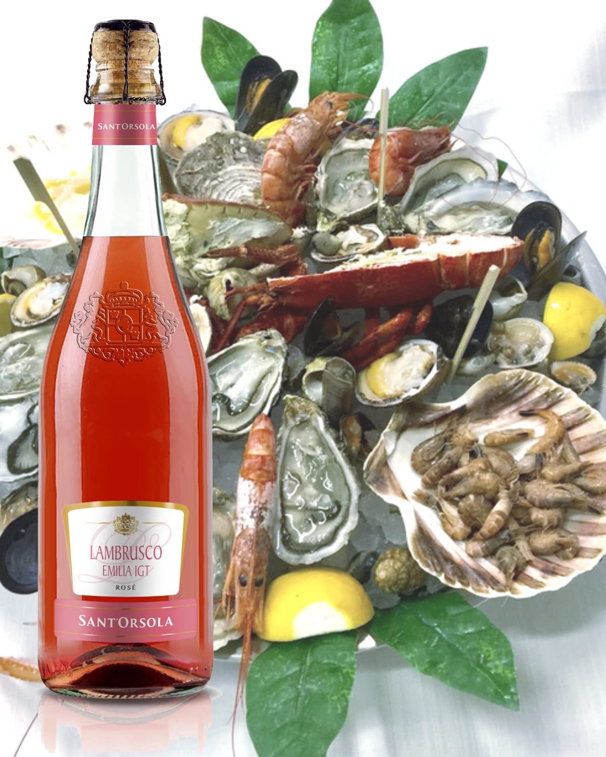 Sant'Orsola Lambrusco Emilia IGT Frizzante Roséwein Schaumwein 6 Flaschen Lambrusco NV trocken (6 x 0.75 l) (Packung mit 2)