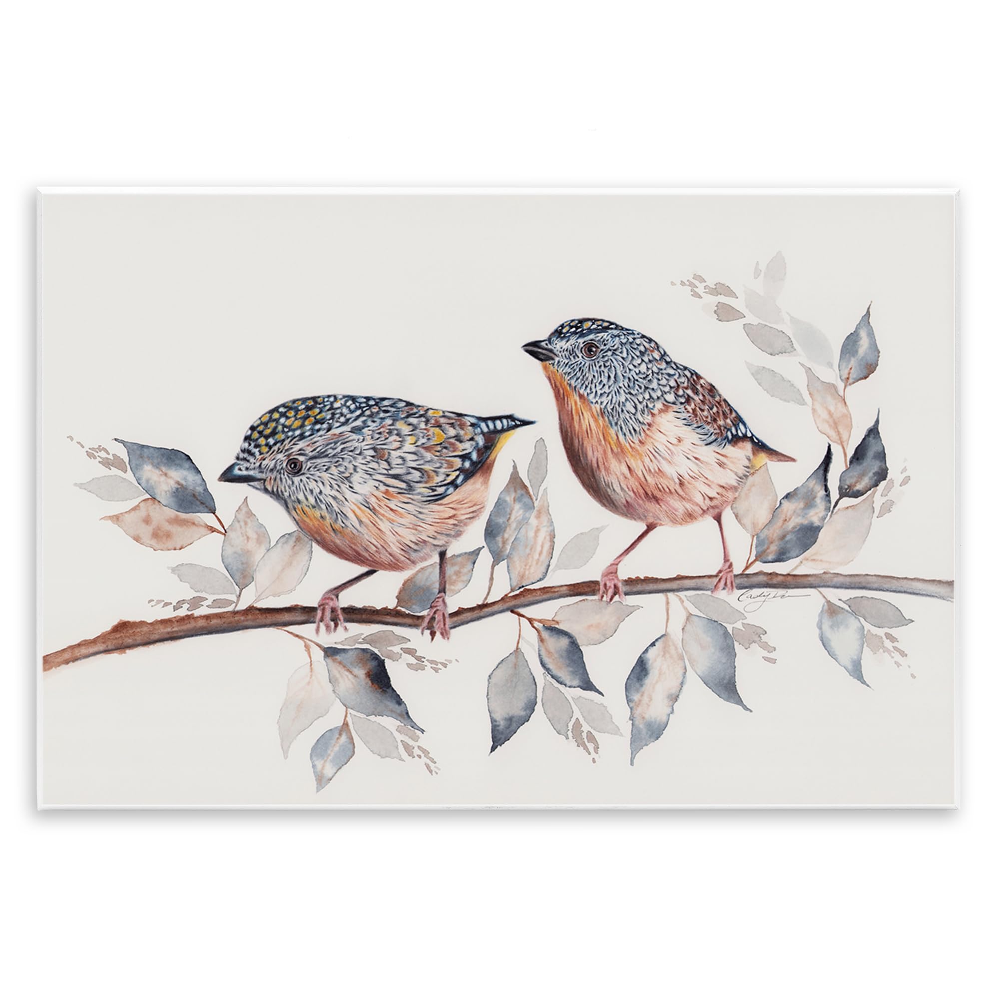 Stupell Industries Speckled Bird Pair on Branch Wall Plaque Art, design by Cady Driver, 13 x 19