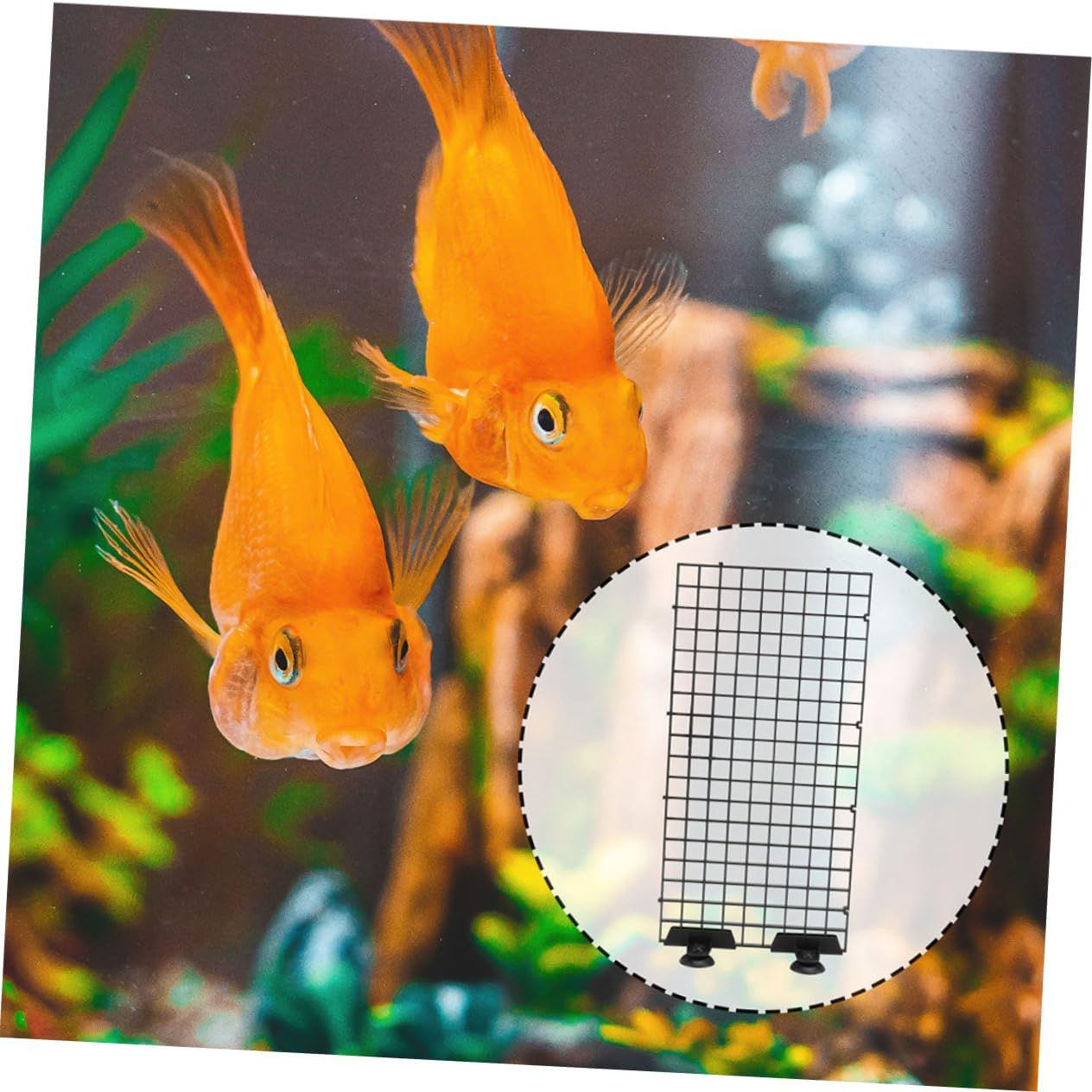 YARNOW 4sets Aquarium Divider Plastic Grid Fish Tank Isolation Board Clips for Filtration and Convenient Separation Crate Panel for Versatile Use