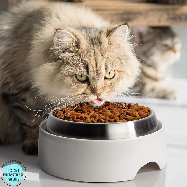 Foto 5 de 8 de CatGuru Mesa de Comida para Cuenco para Gatos, estación de alimentación Antideslizante para Mascotas