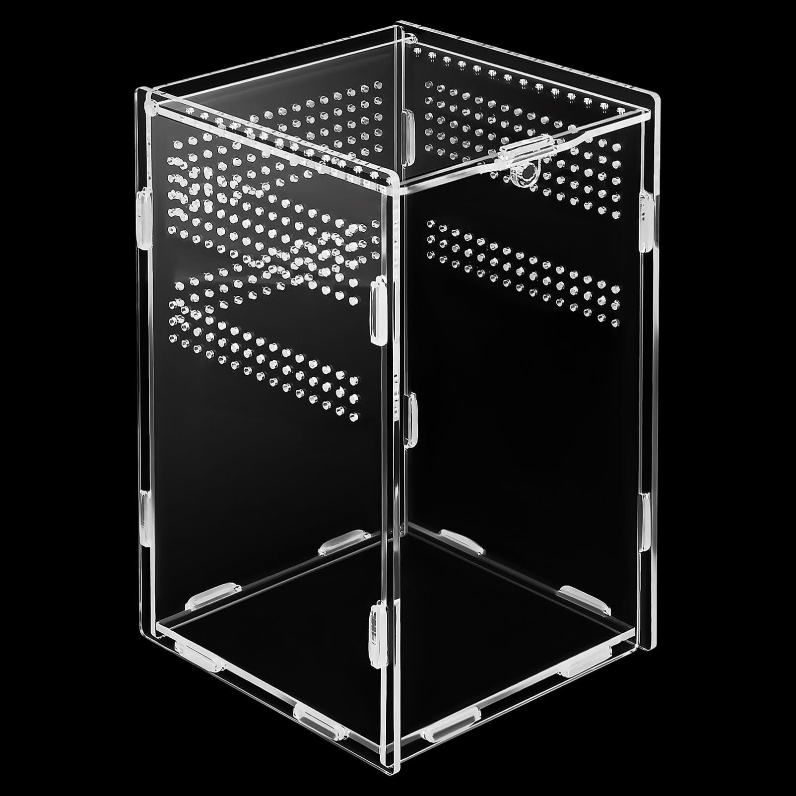 Amazon | BESPORTBLE 爬 飼 にな 製み立て式飼 ボックス イダー ュラ