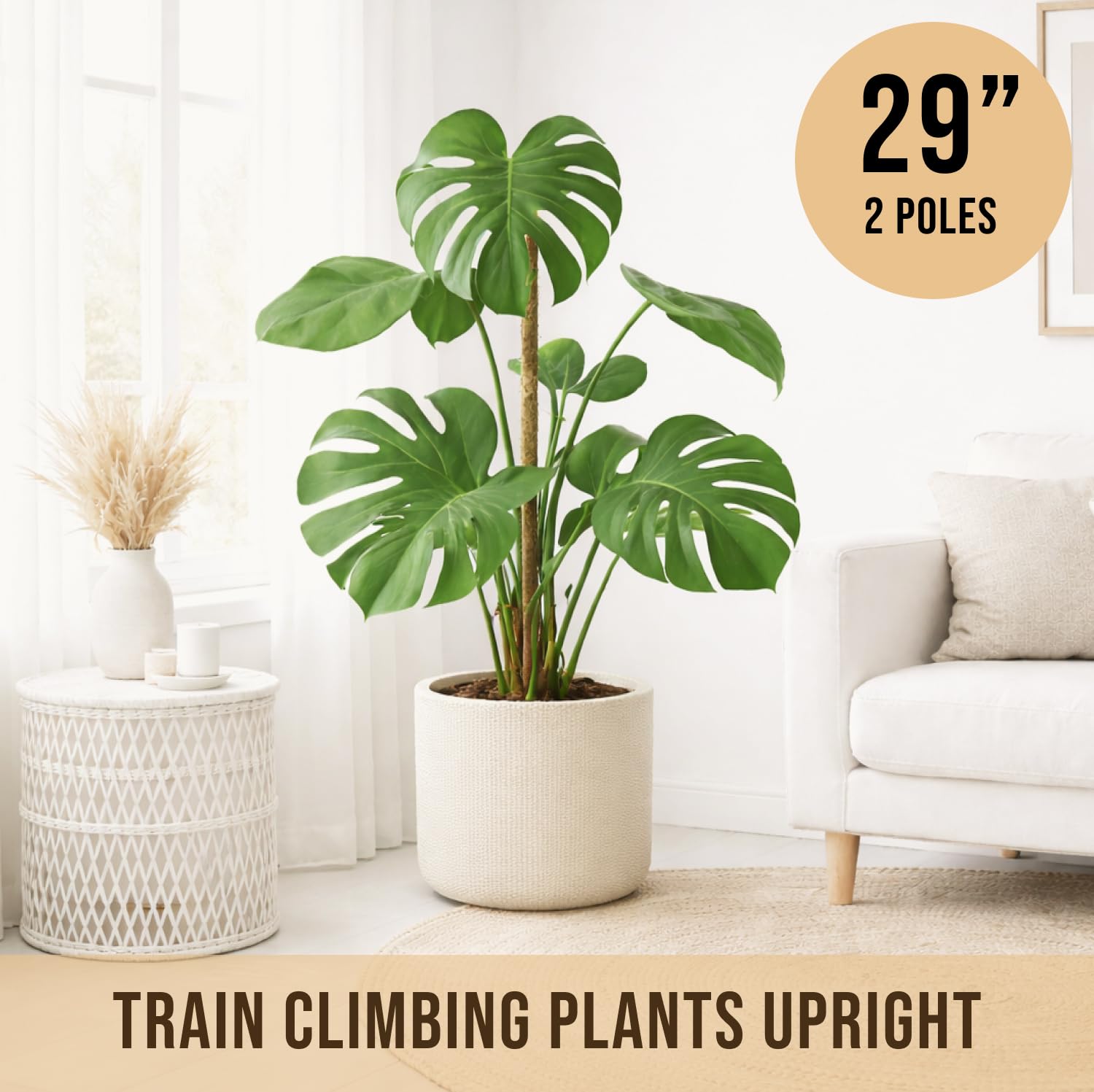 Craft911 Moss Pole - Monstera Support -4