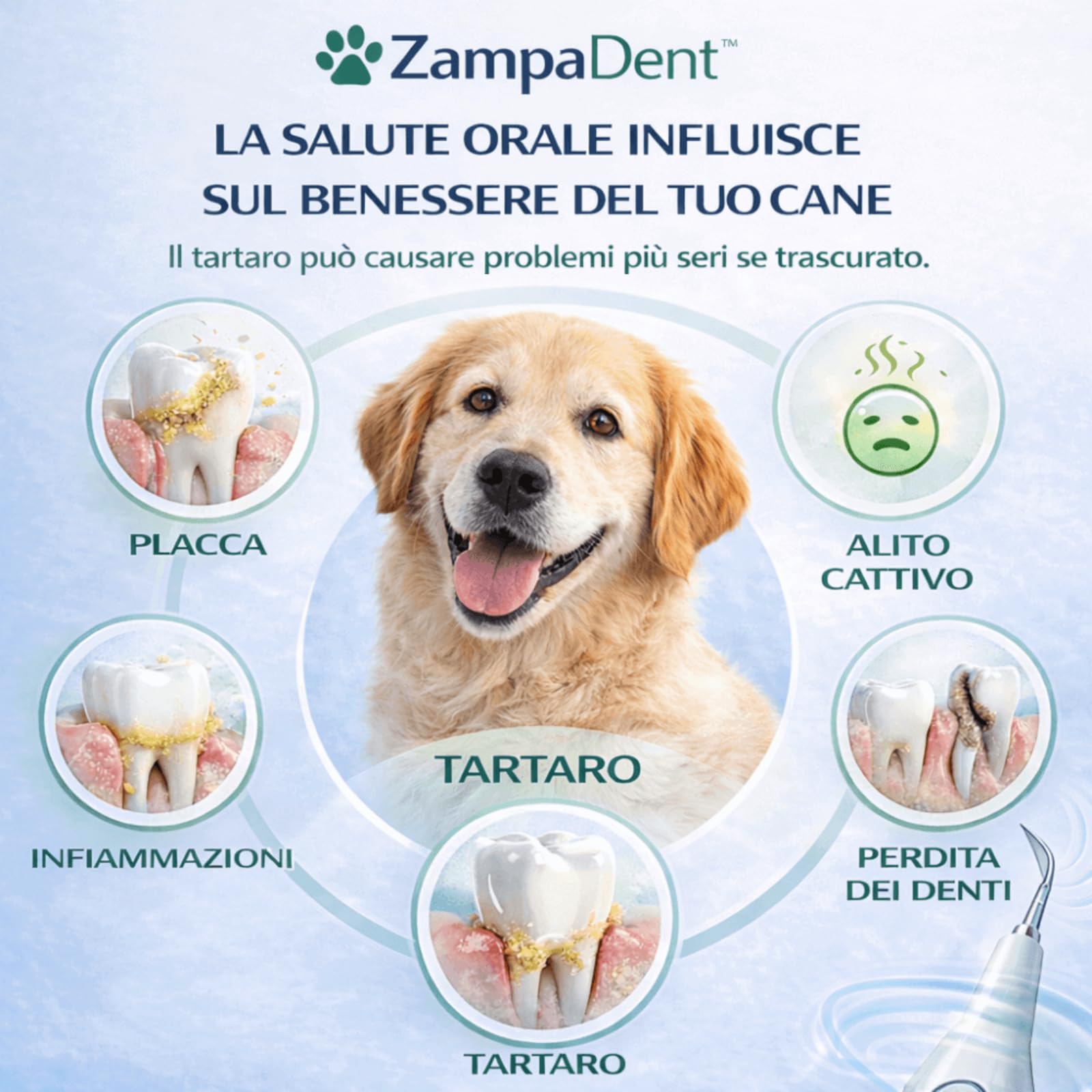Zampadent Dispositivo Professionale Per La Pulizia Dentale Del Cane,Kit Pulizia Denti Elettrico 6 Modalità,IPX6,Ricaricabile USB Type-C,Rimuovi Tartaro e Placca Dentale