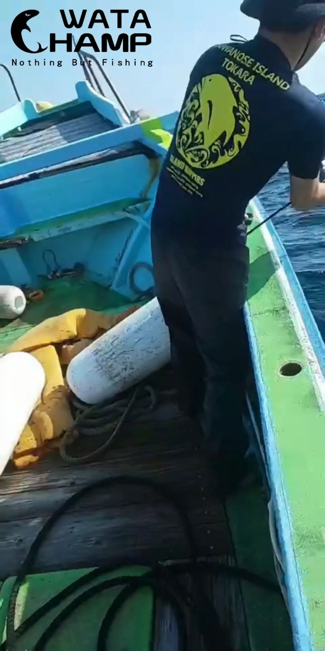 Amazon | WATACHAMPワタチャンプ カリビアン（Caribbean） ジギング