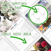 Vista 6 de 2025 Border Collie Calendar - Dog Breed Wall Calendar - 12 x 24 Open - Thick No-Bleed Paper - 14 Month Planner Calendar Organizing & Planning