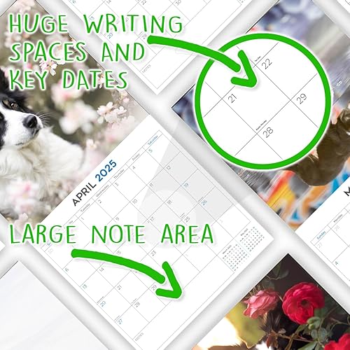 Miniatura 6 de 2025 Border Collie Calendar - Dog Breed Wall Calendar - 12 x 24 Open - Thick No-Bleed Paper - 14 Month Planner Calendar Organizing & Planning