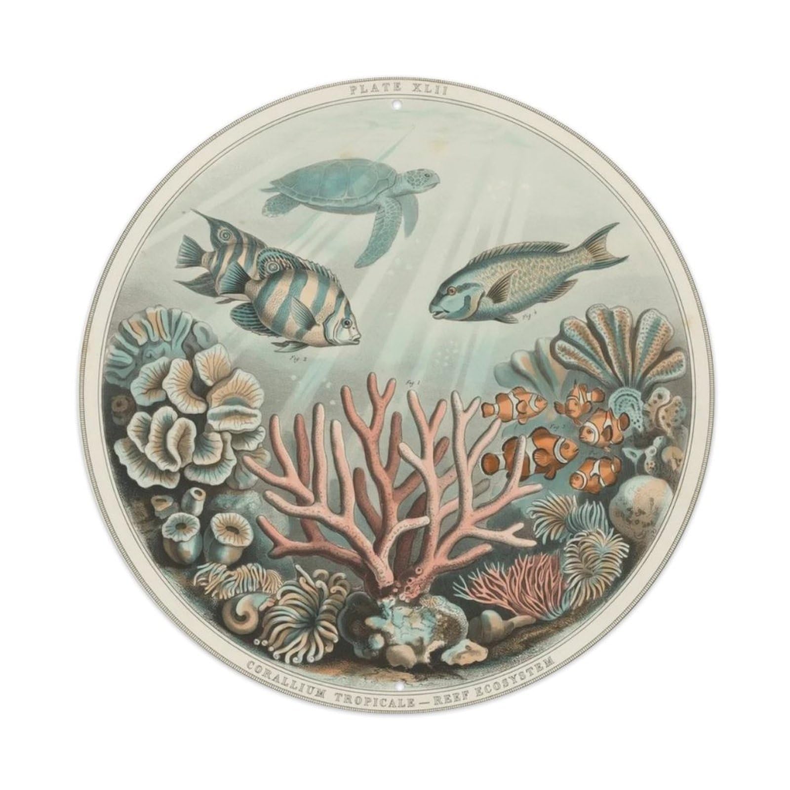 Vintage Coral Reef Metal Tin Sign Plaque