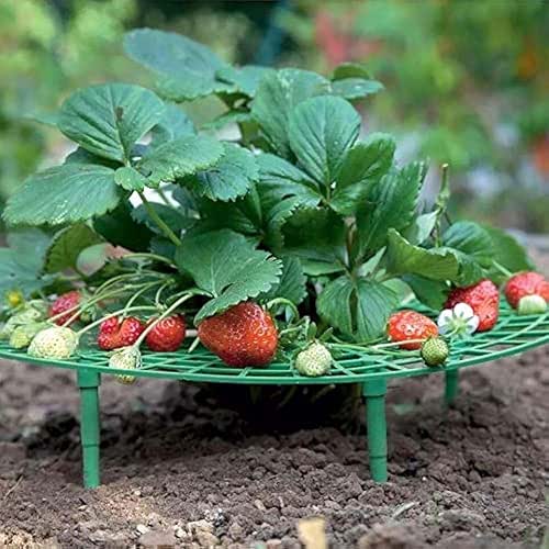 Iceyyyy 5 Pack Strawberry Plant Support - Strawberry Growing Racks