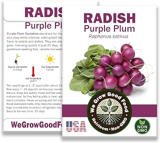 Purple Plum Radish Seeds for Planting – Organic, Heirloom, Non-GMO, High Germination – Fast Growing, 25–30 Day Harvest Cool Season Vegetable Seeds for Spring & Fall Gardening, USA Grown