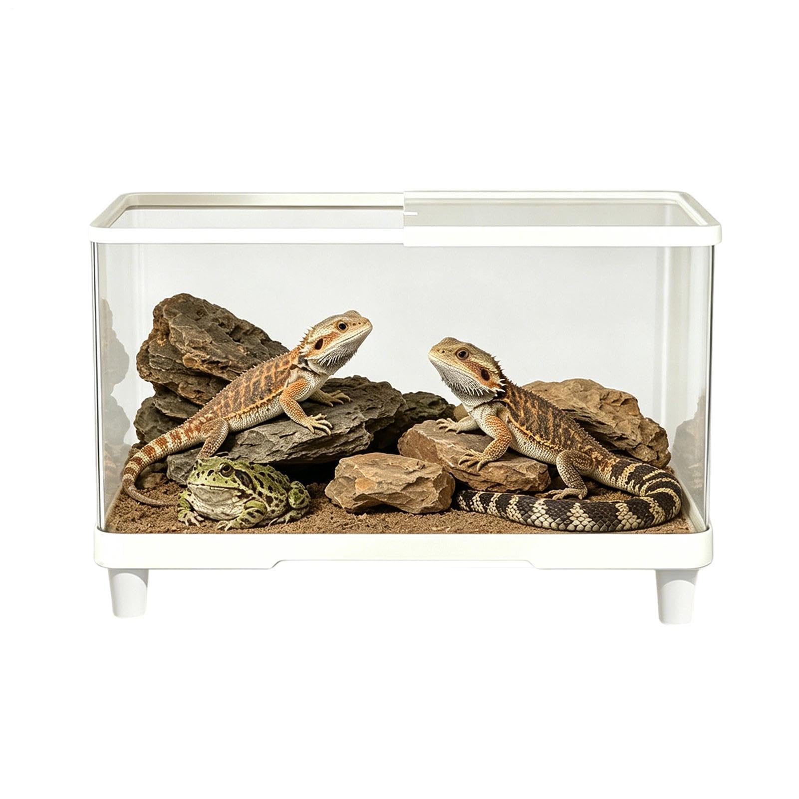 Terrario Acrílico Transparente Antifugas Ventilado Hábitat Para Lagartos | Recinto de acrílico para tarántulas y lagartos para dragón barbudo, camaleón, gecko, ermitaño lagartija