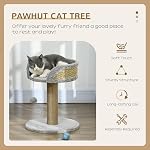 PawHut Small Cat Tree with Scratching Post, Perch, Toy Ball, Cat Tower for Indoor Cats - 16" x 16" x 19", Grey