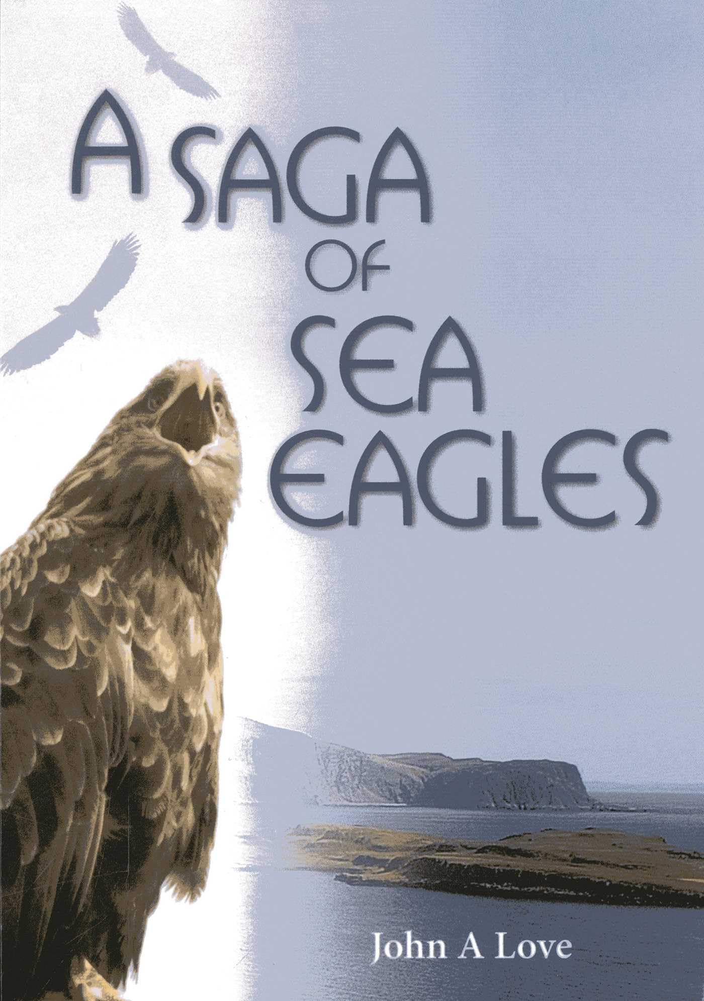Buy A Saga of Sea Eagles — BookShops.in