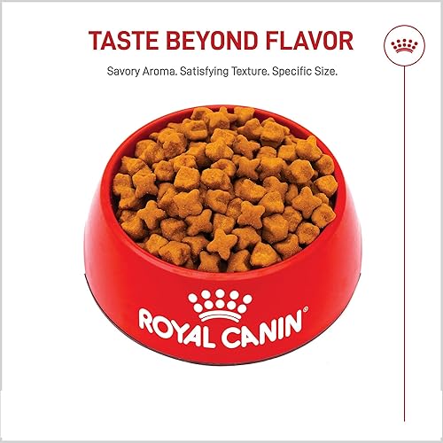 Miniatura 3 de Royal Canin Breed Health Nutrition Alimento seco para perros de pastor alemán para adultos