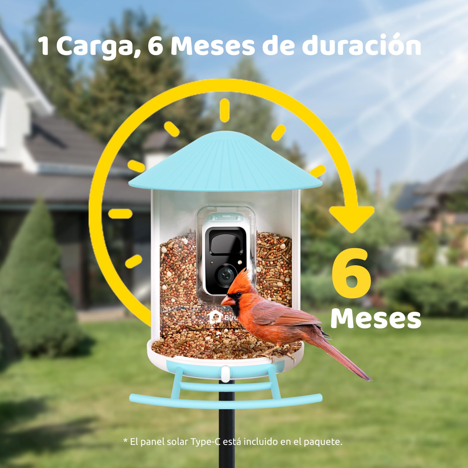 NETVUE by Birdfy Comedero Pajaros Camara, Comedero Pajaros Exterior, Comedero Aves Cámara WiFi con Batería & Solar Panel, Notificación Instantánea, Captura Automática de Imagen/Video