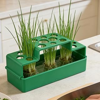 Hydroponic Planter, Soil-Free Automatic Plant Grower for Herbs Vegetables, Compact Self-Watering System for Home Kitchen Counter (Green, 15.5x7x6cm)