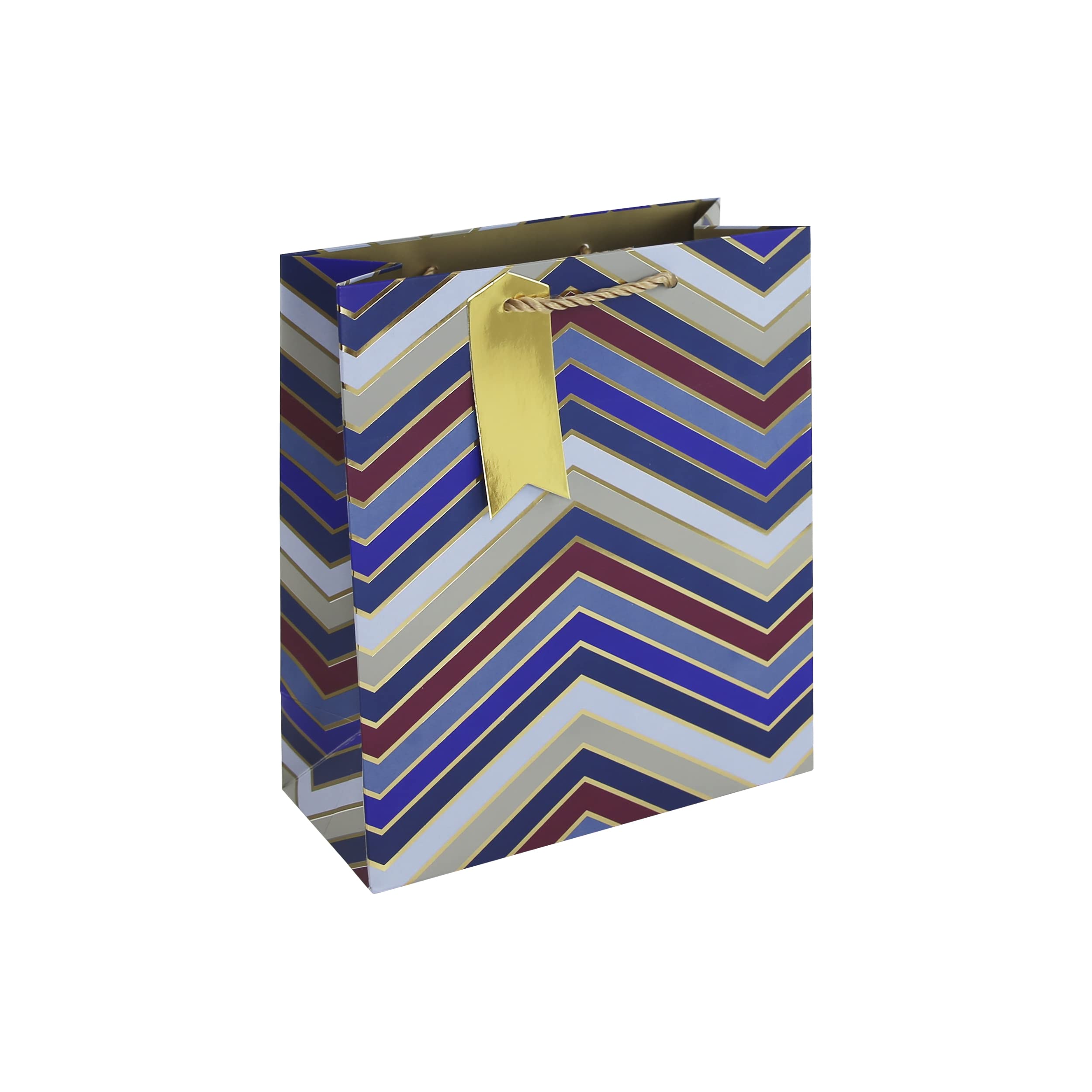 Eurowrap Men's Multi Bold Graphic Chevron Gift Bag With Gift Tag Fathers Day Birthday Occasion, Design By Jeff Banks Medium