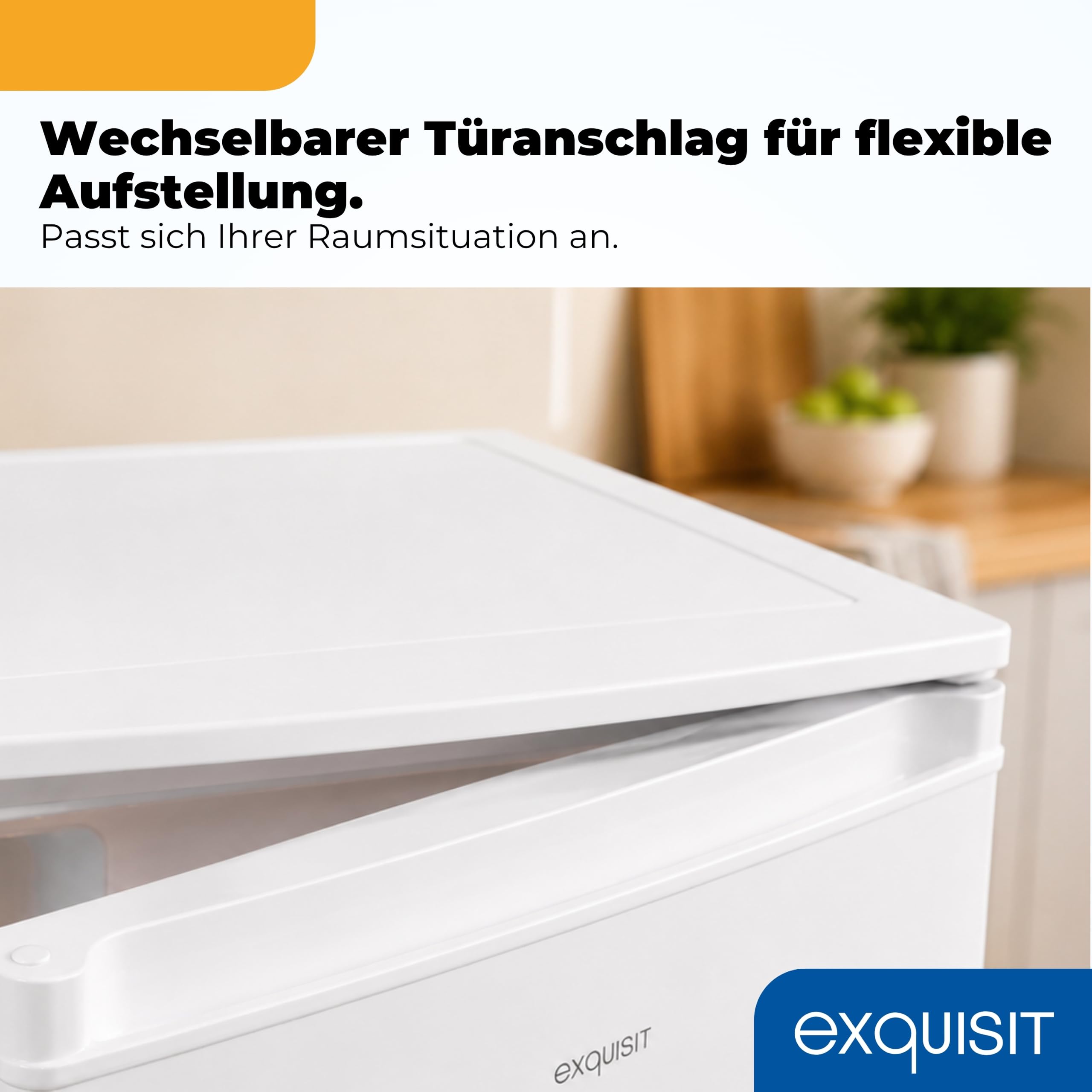 Exquisit KS5117-3-040E Kühlschrank mit Gefrierfach, 81 l, Weiss, Energieklasse E, 40 dB