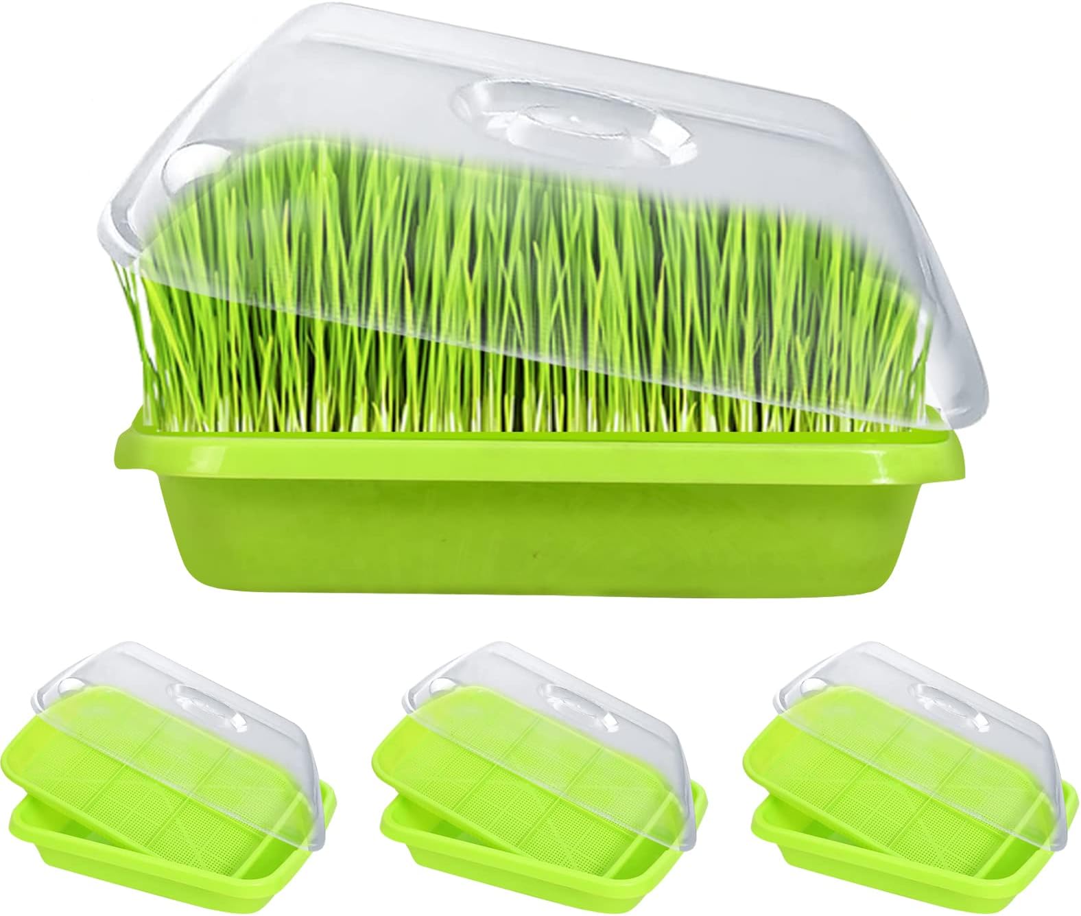 MUDUOBAN Seed Sprouter Trays 6 Pack, Microgreens Growing