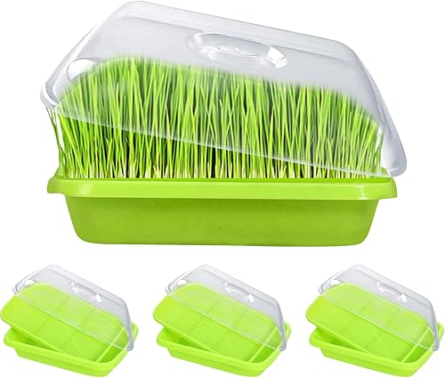 Paquete de 3 bandejas para germinar semillas, bandeja de germinación sin tierra, kit de cultivo de microgreens con tapa, sin BPA, kit de germinación disponible en Yaxa Venezuela
