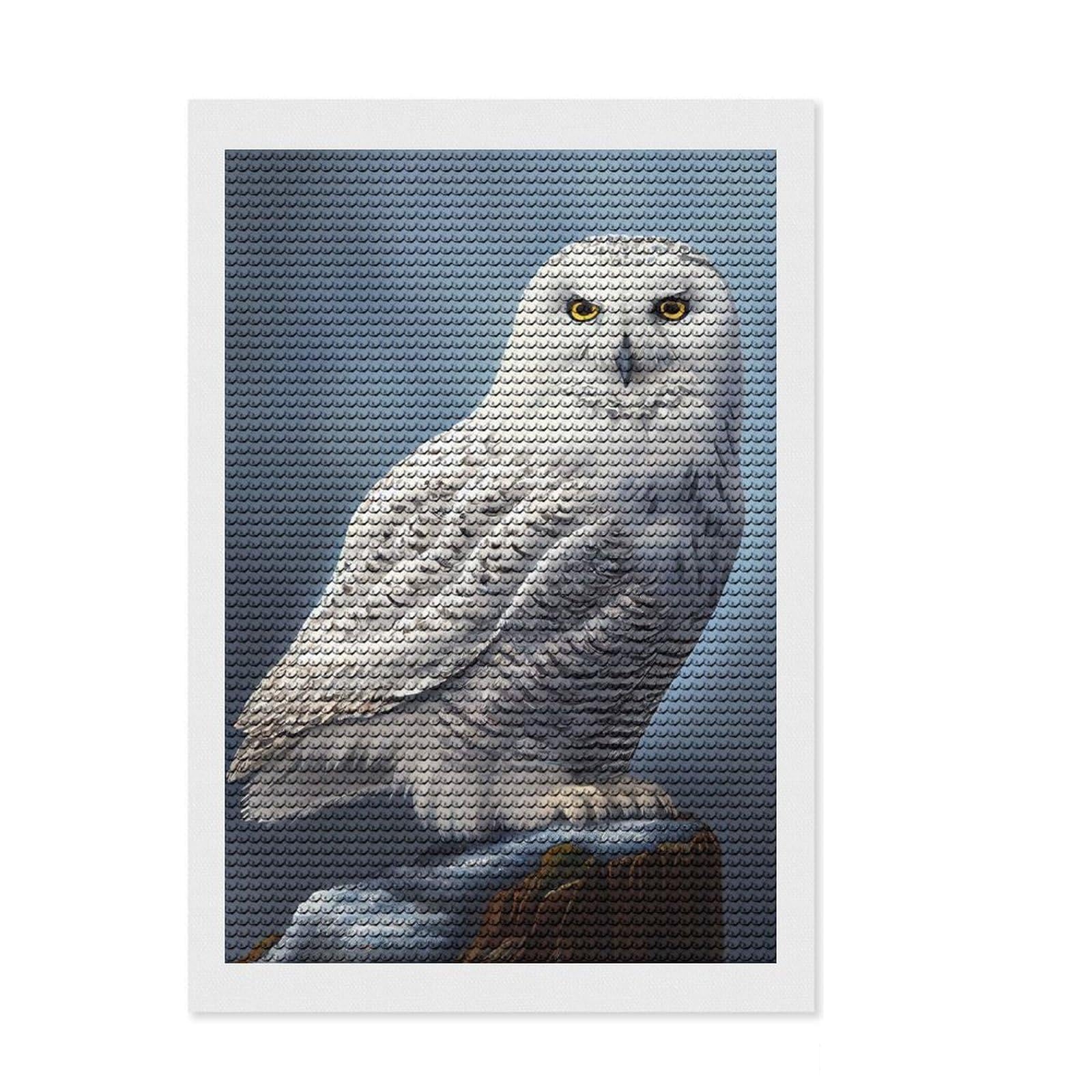 Junmoney Arctic Snowy Owl Diamond Art Canvas 8"x12", Relaxing DIY Hobby, Enjoyable At-Home Hobby, Farmhouse Decor, Gift Idea, Easy to Enjoy