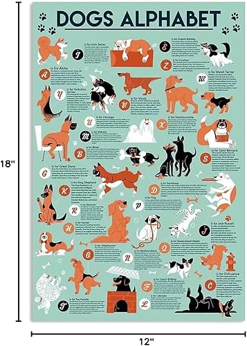 Miniatura 7 de Carteles de metal con conocimiento de tortuga de carey de biología, decoración de pared para aula, pósteres de estaño, placas educativas para