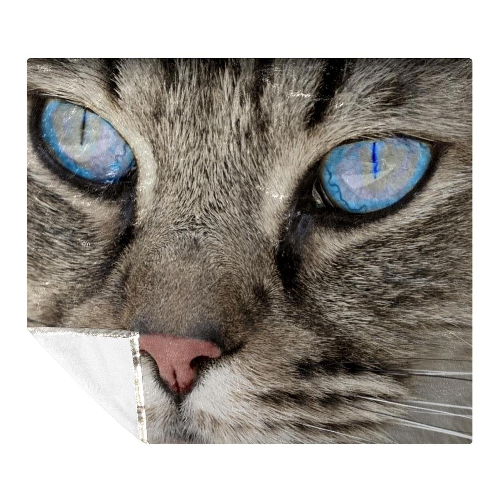 Couverture en peluche pour frissons hivernaux plaid chat doux yeux bleus