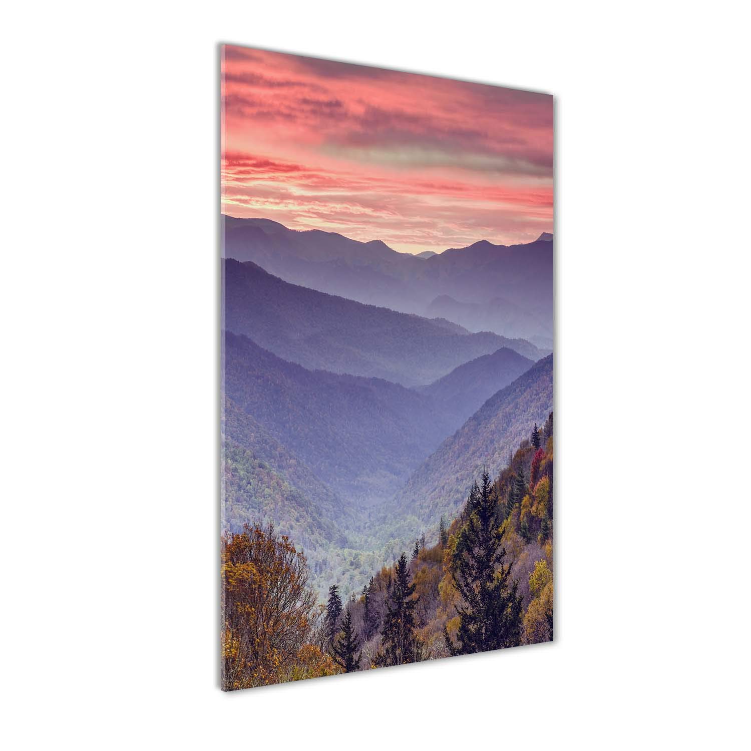 Image sur Plexiglas Salon et Bureau Tulup | Grand Tableau Mural Ambiance Brume Automnale