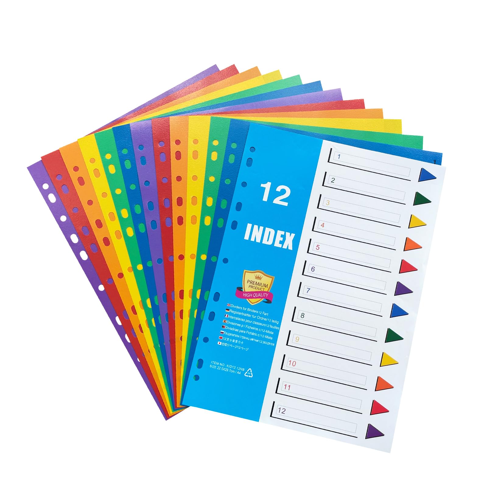 Exacompta - Réf. 3906E - Intercalaires En Polypropylène Translucide Avec 6 Onglets Neutres