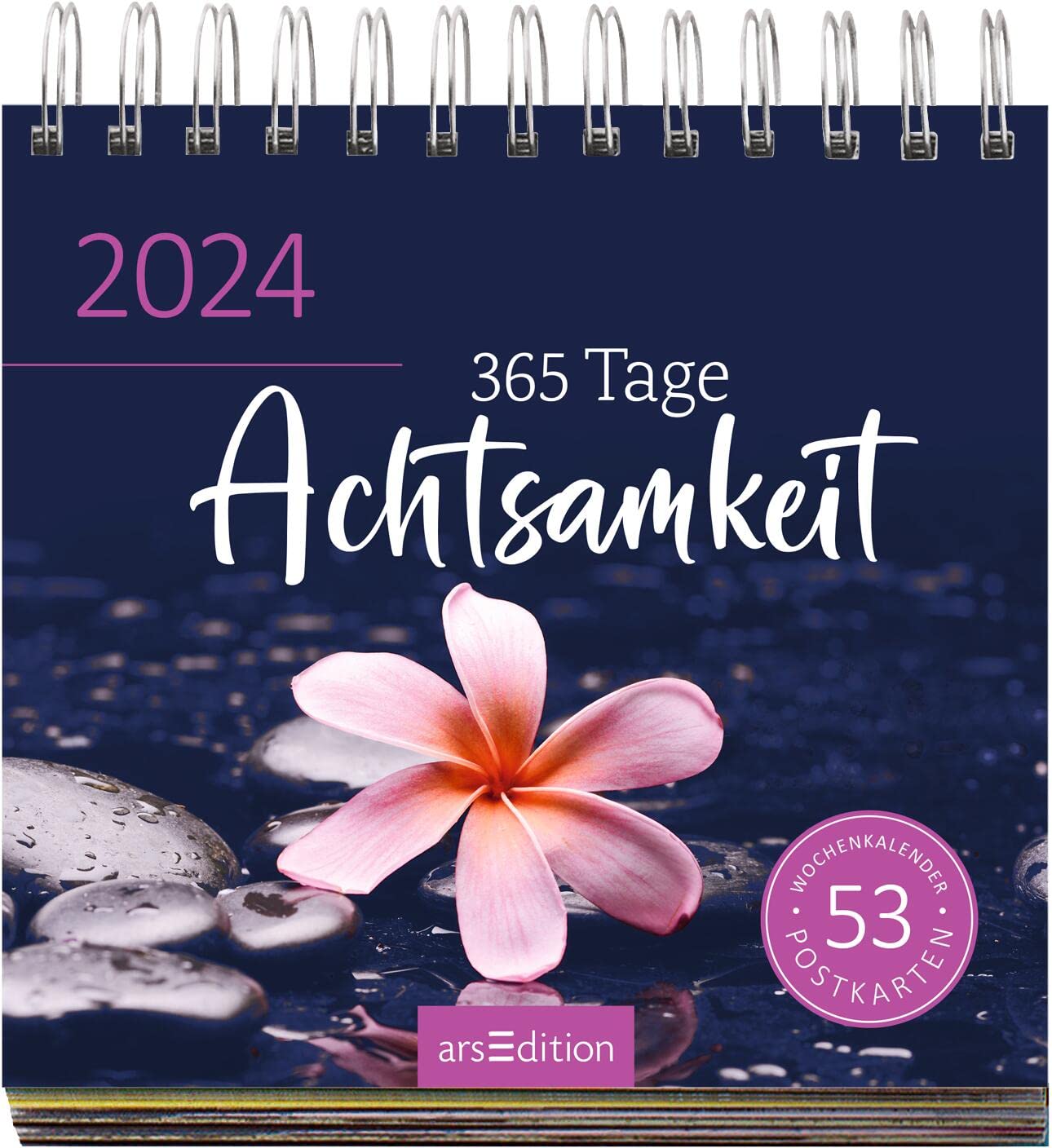 Display Postkartenkalender 2024: Mit 20 x 3 Ex. | Wochenkalender 2024, 53 Postkarten zum Abtrennen und Verschicken
