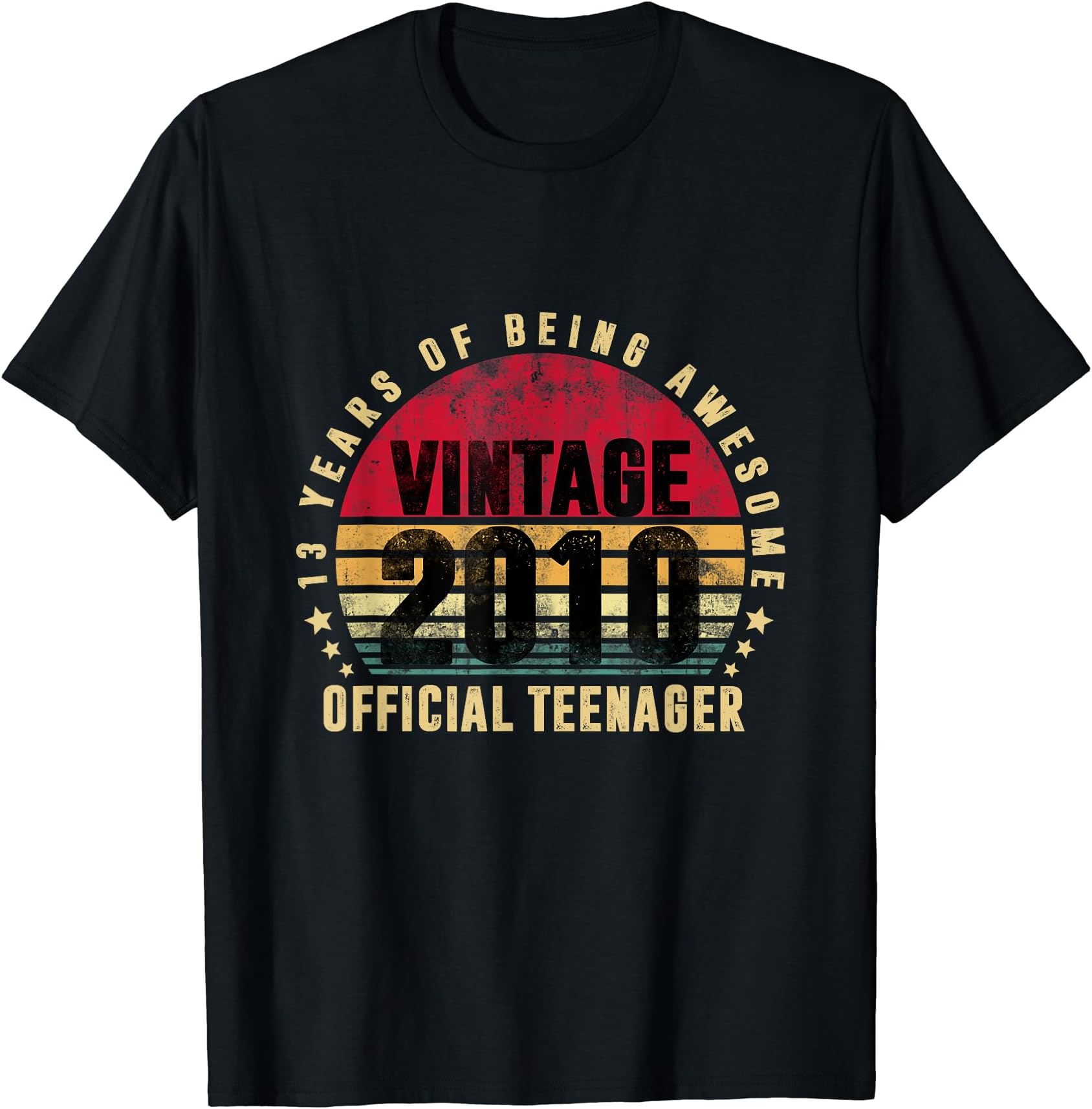 13 Year Old Vintage 2010 Official Teenager 13th Birthday T-Shirt