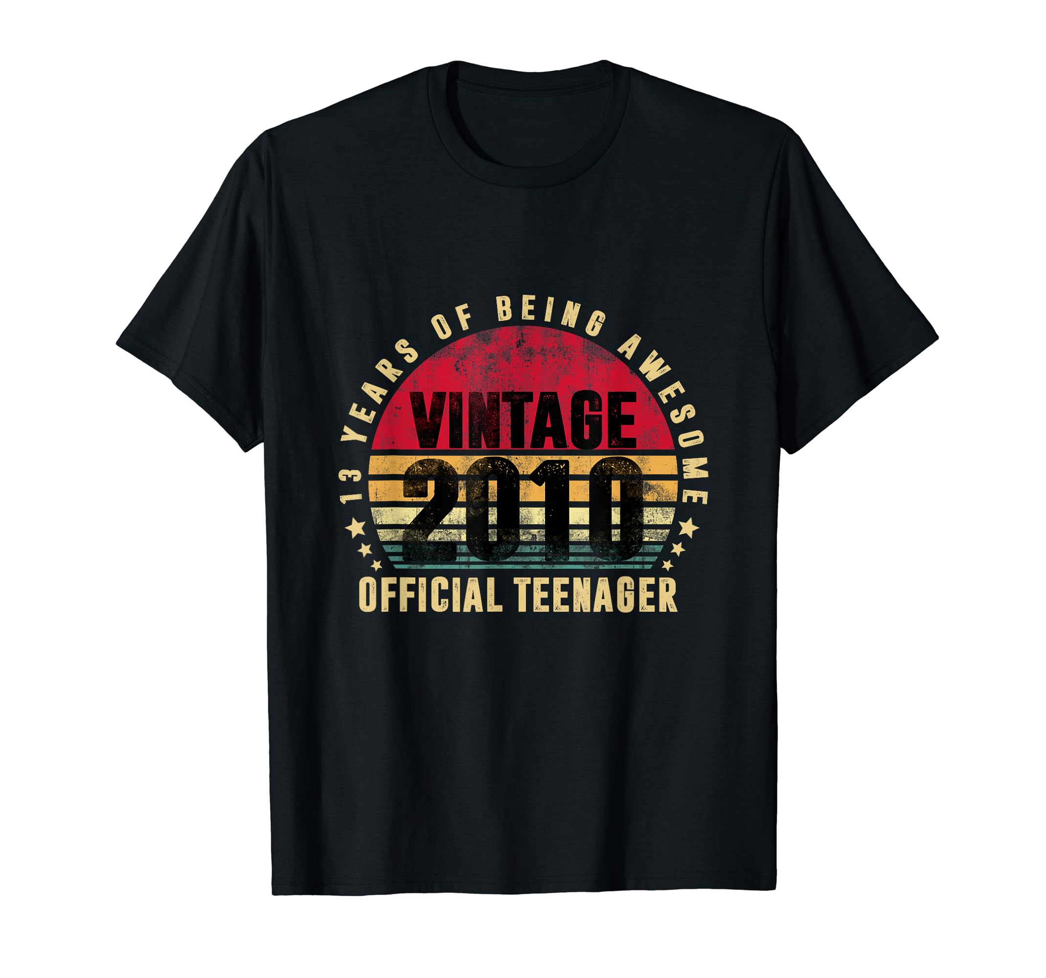 13 Year Old Vintage 2010 Official Teenager 13th Birthday T-Shirt