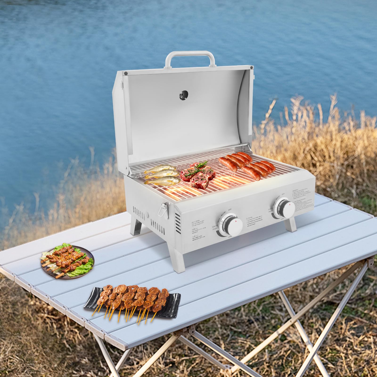 Barbecue à gaz gastro avec 2 brûleurs - En acier inoxydable - Avec couvercle - Pliable - Portable - Pour terrasse, excursions en camping-car et pique-nique