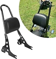 Vista 1 de ECOTRIC Respaldo tubular desmontable para pasajero compatible con Harley Sportster XL883C 883R XL1200R 1200C 1200S XLH883 XLH1200 de 2004