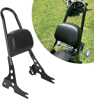 ECOTRIC Detachable Sissy Bar for Harley Sportster (2004-Up)