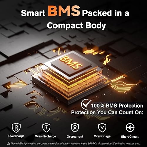 Miniatura 5 de Batería de litio LiFePO4 de 12 V y 100 Ah para RV, barco, motor de arrastre  Tamaño mini, BMS de 100 A integrado, más de 4000 ciclos, ligera, fuera