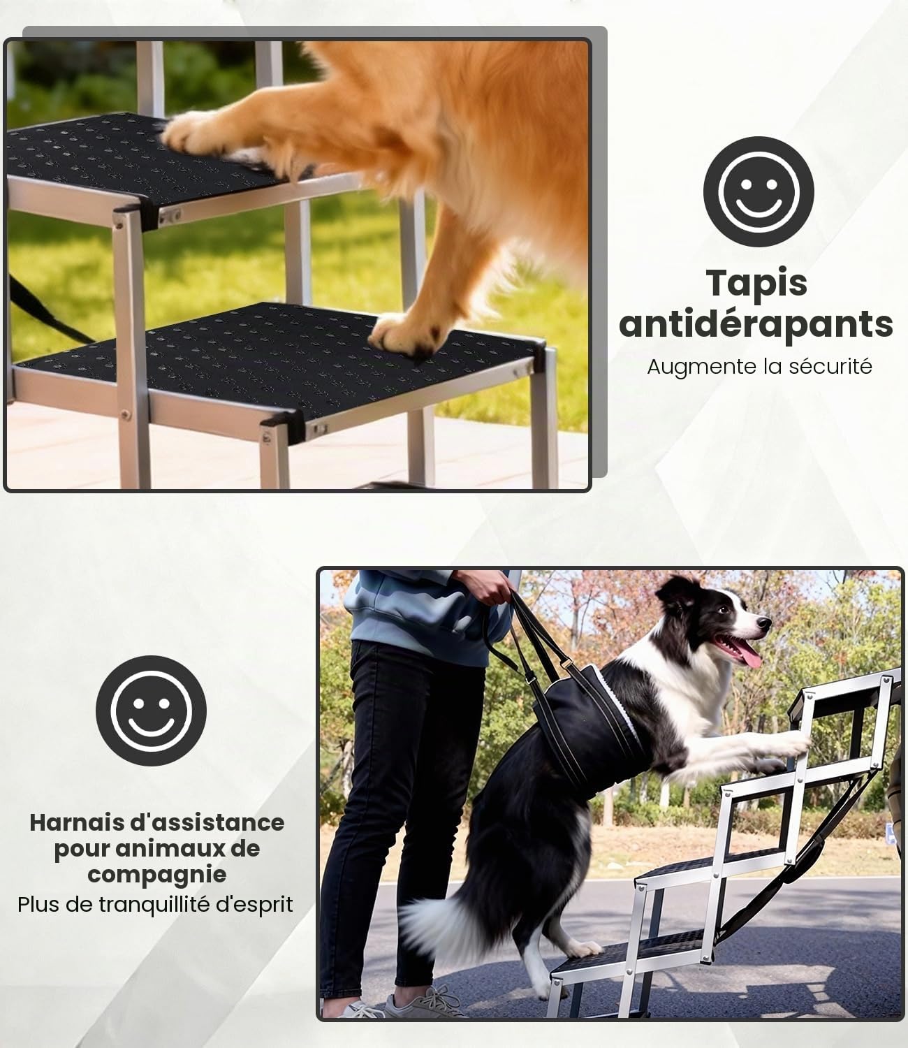 Escalier pour Chien, Rampe pour Chien avec Surface Antidérapante, Jusqu’à 80kg, Escalier Chiens pour Voiture 5 Marches pour Berlines, SUV, Camions