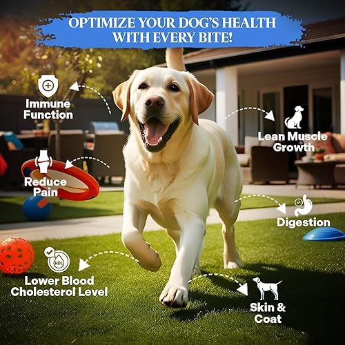 Miniatura 2 de Healthy Dogma - Alimento deshidratado para perros PetMix para alergias, apoyo articular y movilidad - Alimento casero sin granos, crudo para perros