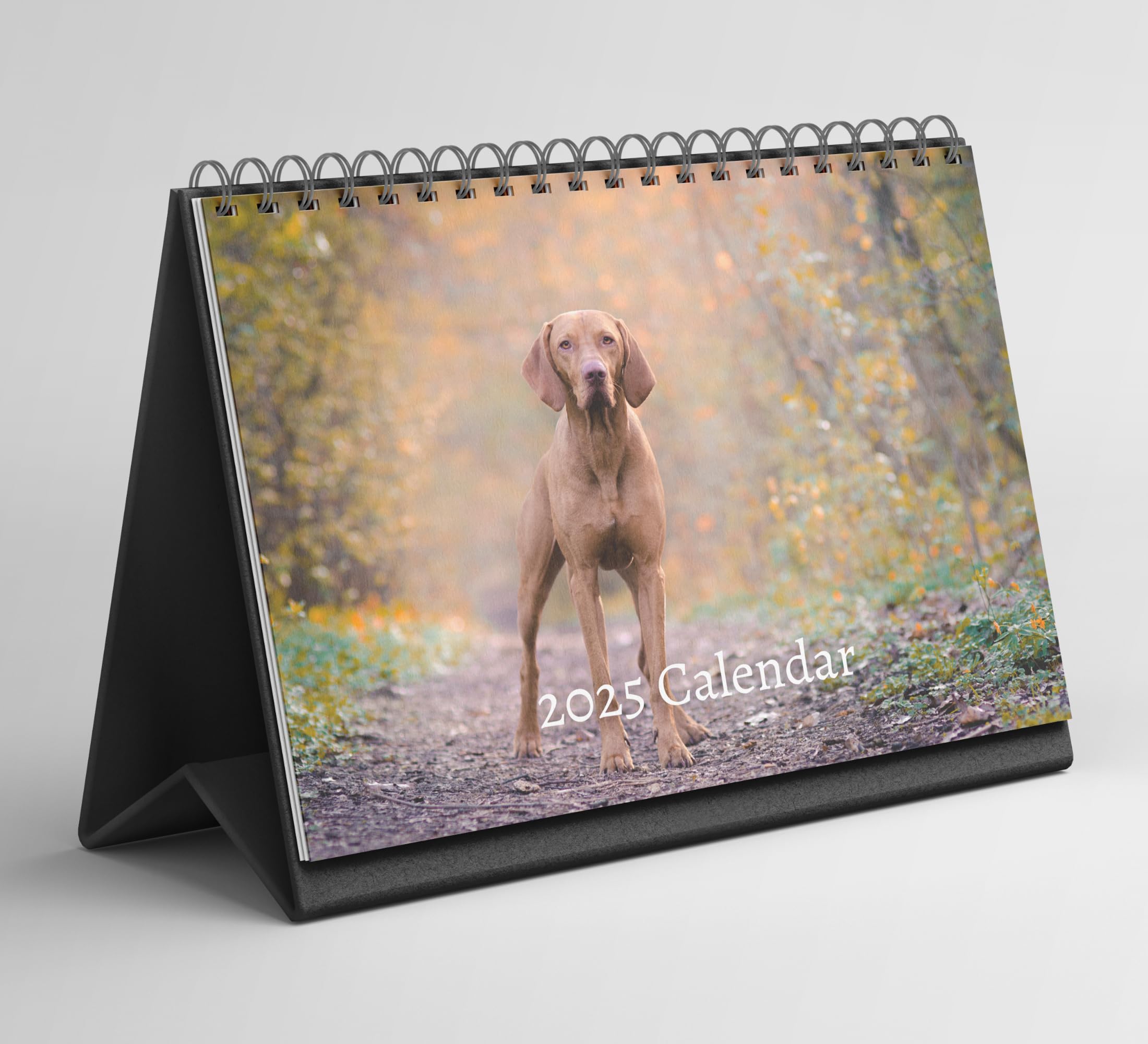 Hungarian Vizsla Desk Calendar 2025-2026: Standing Flip Desktop Calendar with Thick Paper (15.25cm x 22cm - similar to A5)