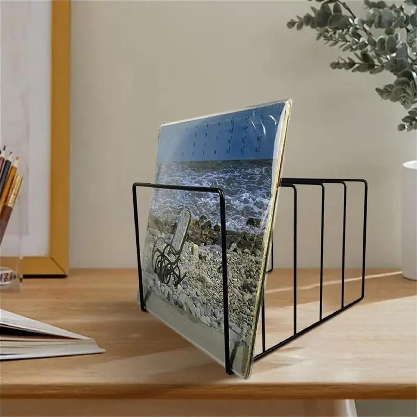 Porta Vinili Espositore for Dischi in Vinile Collezione di Giradischi LP Portaoggetti for espositori Portadocumenti in Metallo Nero Selezionatore File Carta(L)
