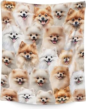 Pomeranian Blanket for Girls & Boys - 50x60 Inches Throw Size - Soft Fuzzy Plush Throws Gifts - Brown Cute Dog Throw Blanket for Bed, Couch & Sofa