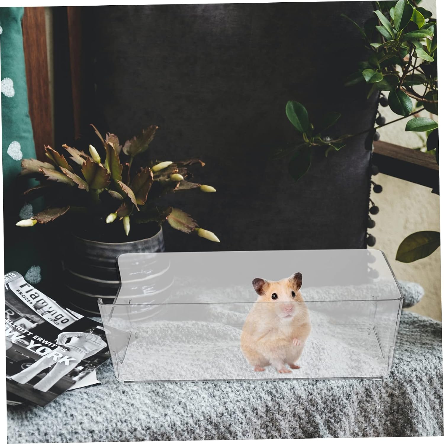 HANABASS 3Pcs Hamster Bathtub Acrylic Bath Container for Small Pets image 4