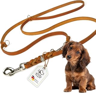 Hundeleine Leder 2m kleine Hunde leicht Fettlederleine [3-Fach Verstellbar] Lederleine geflochten – robuste Leine Hund mit Chrombeschlägen – Führleine Hund & Freihandleine zum Umhängen, Cognac 8mm