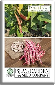 Taylor Dwarf Horticulture Bush Bean Seeds Phaseolus vulgaris 25+ Non-GMO Heirloom Cranberry Bean Seeds, 85% Germination Rate, by Islas Garden Seeds, Great for Cooking & Small Gardens